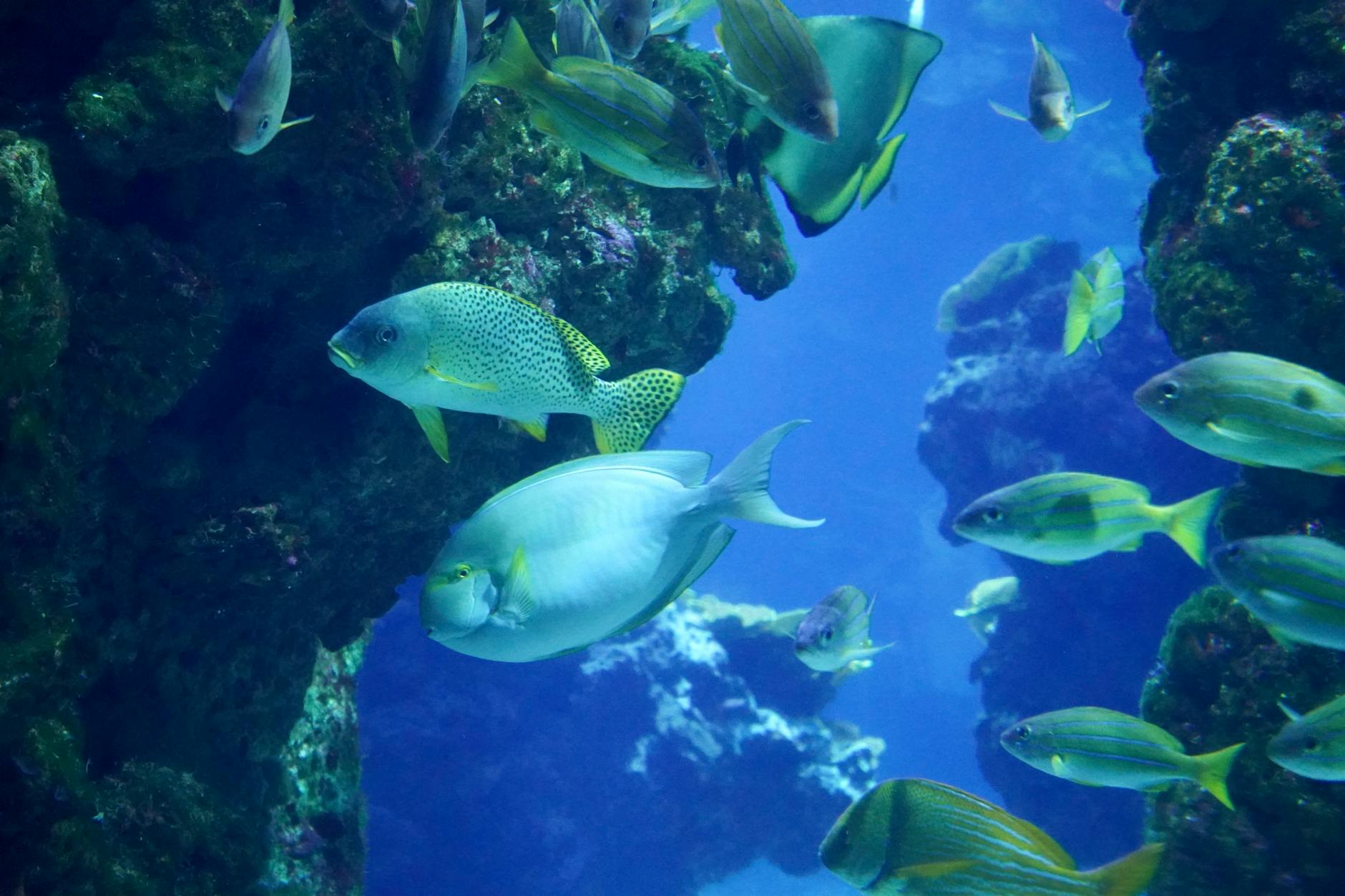 Best Indoor Attractions in Jakarta for Rainy Days