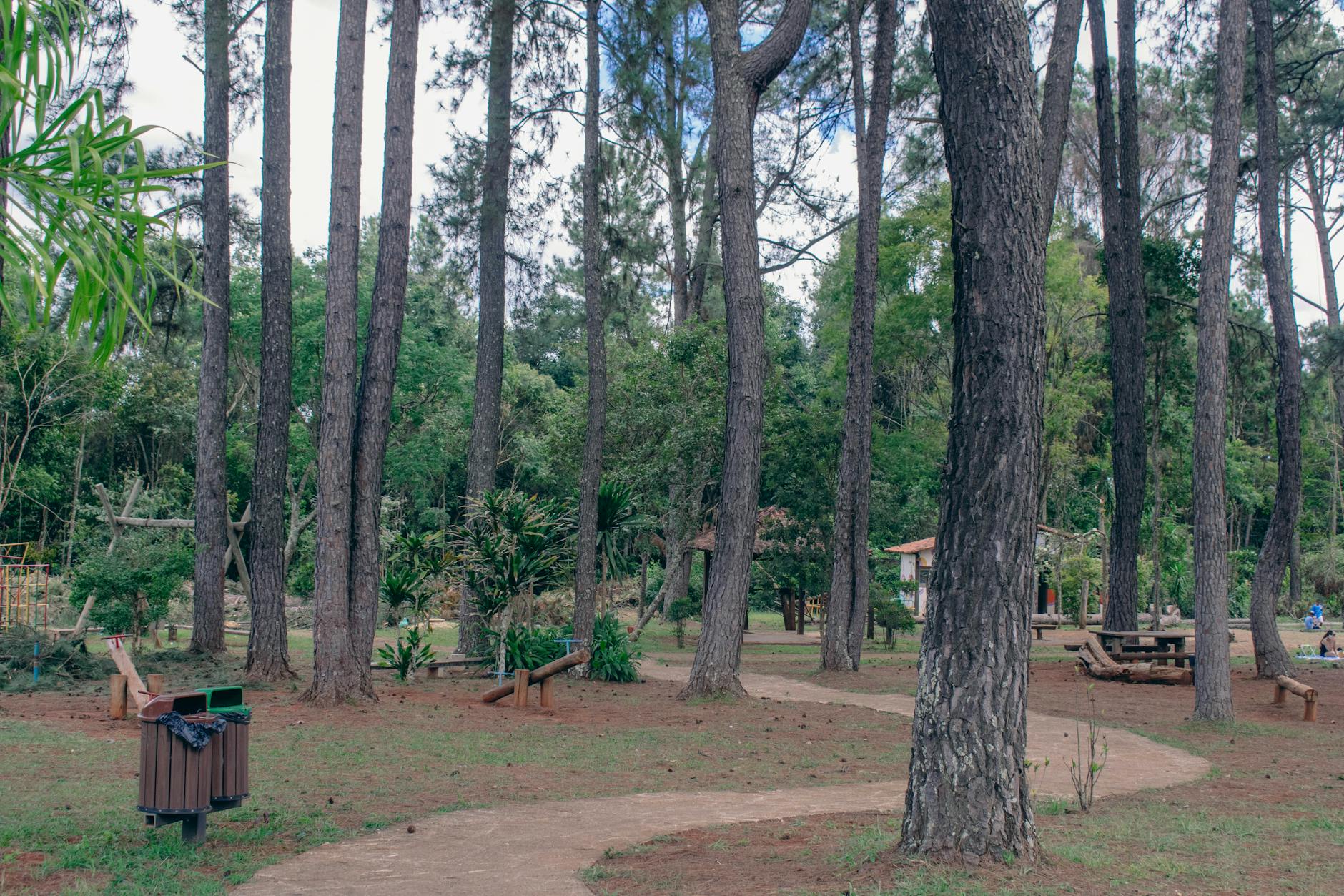 Jakarta Hidden Gems: 15 Secret Spots Locals Love