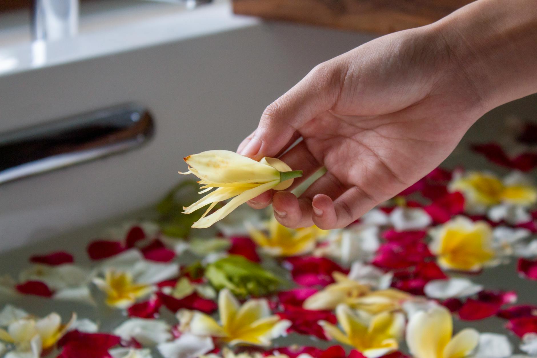 Luxury hotel spa room with treatment table and tropical plants