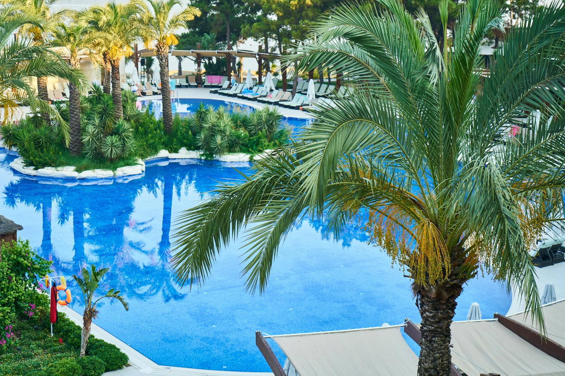 South Jakarta hotel pool with palm trees and tropical garden
