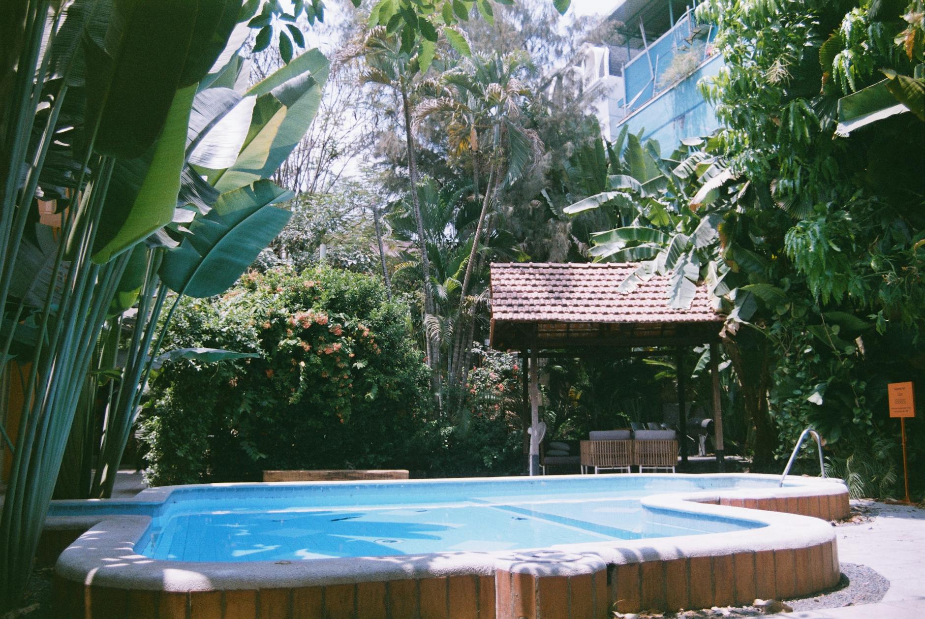 Small intimate hotel swimming pool with mature plants