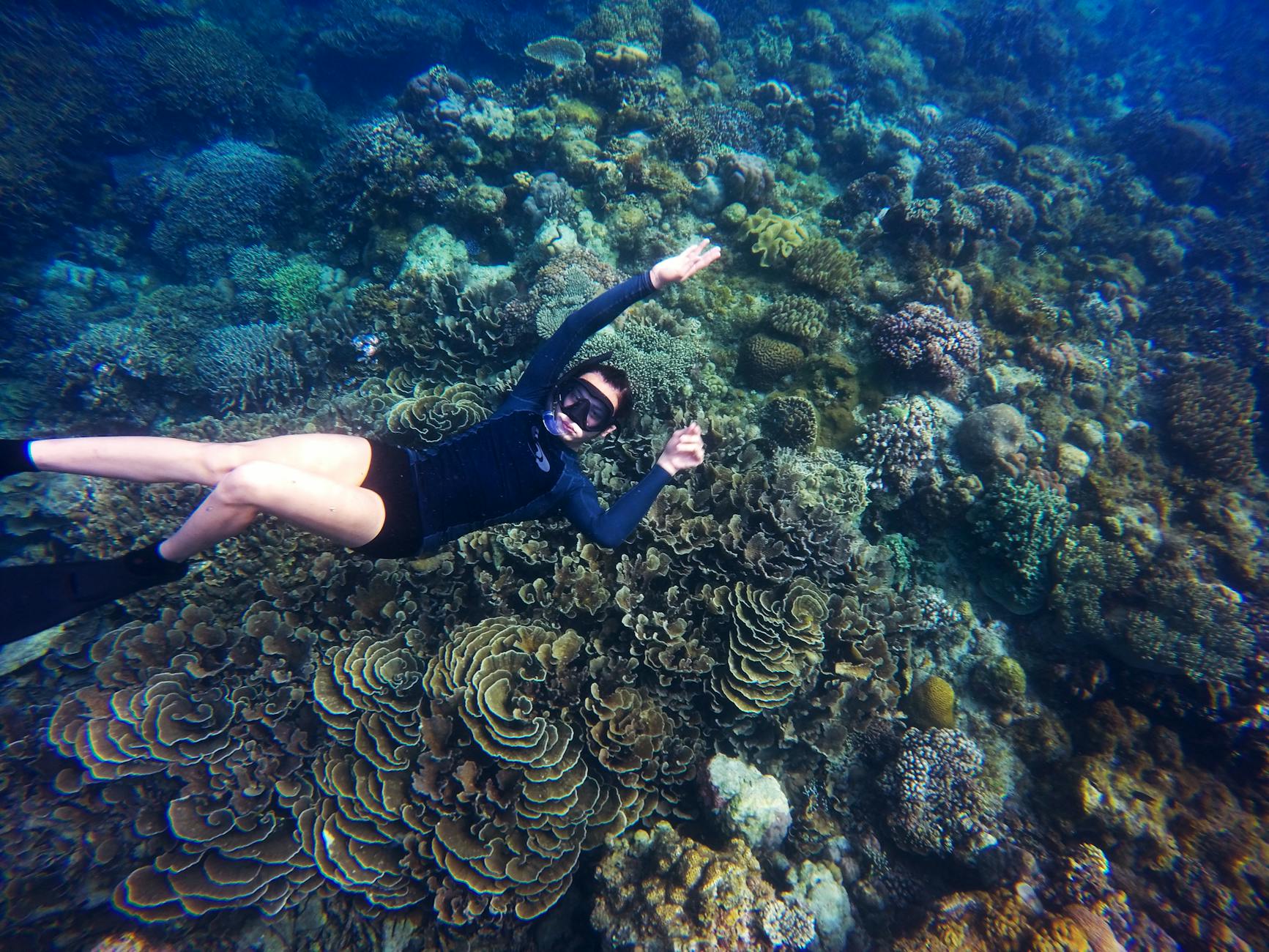 Crystal clear snorkeling waters over coral reef