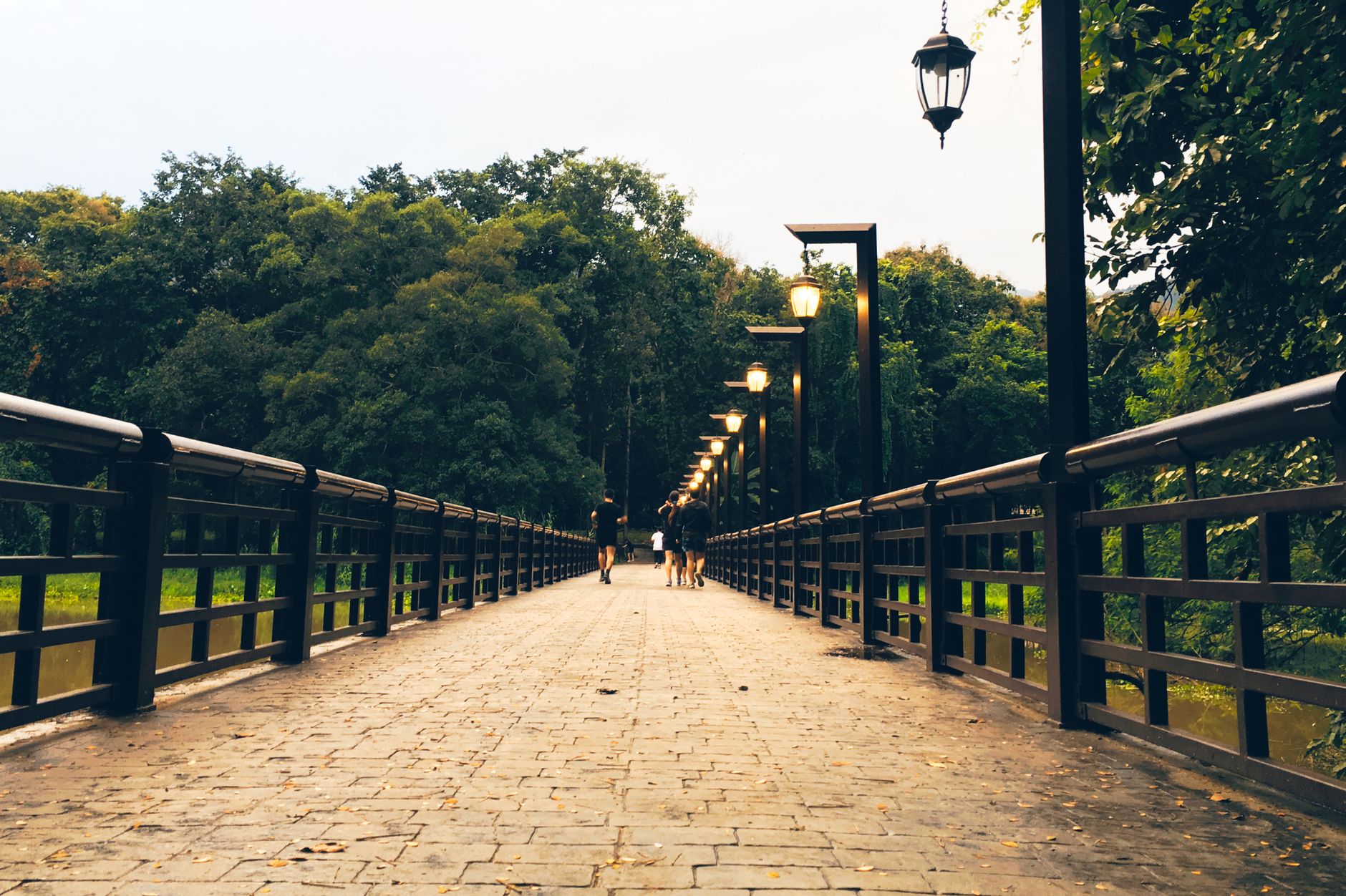 A lamp-lit tree-lined walkway through an urban park in the Senayan area of Jakarta