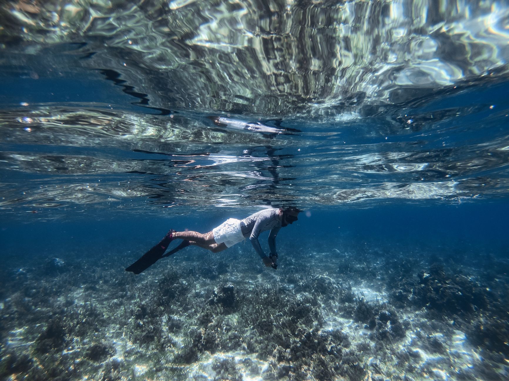A snorkeller swimming above a shallow coral reef in clear water