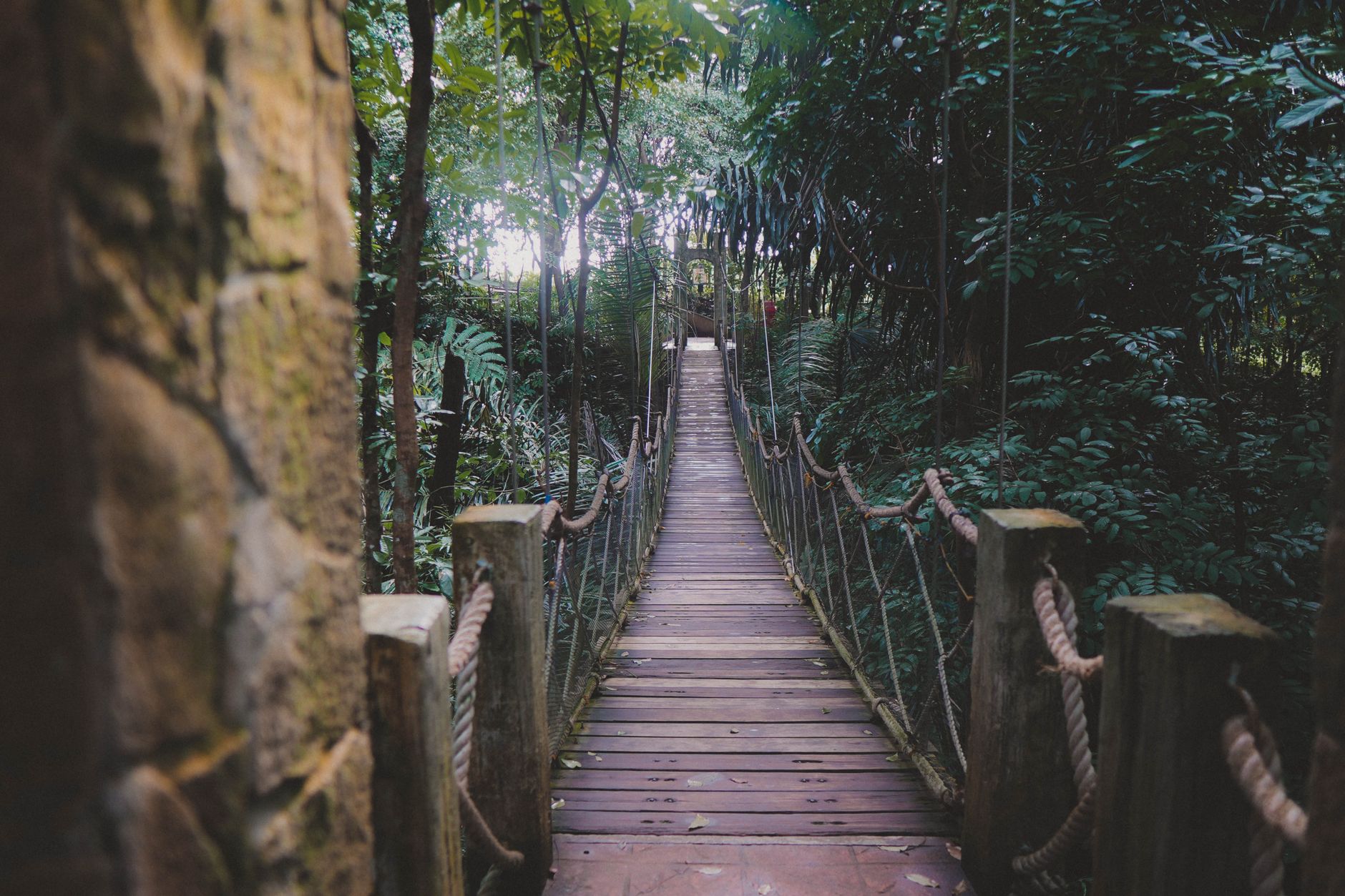 A wooden suspension bridge crossing a ravine in dense highland forest