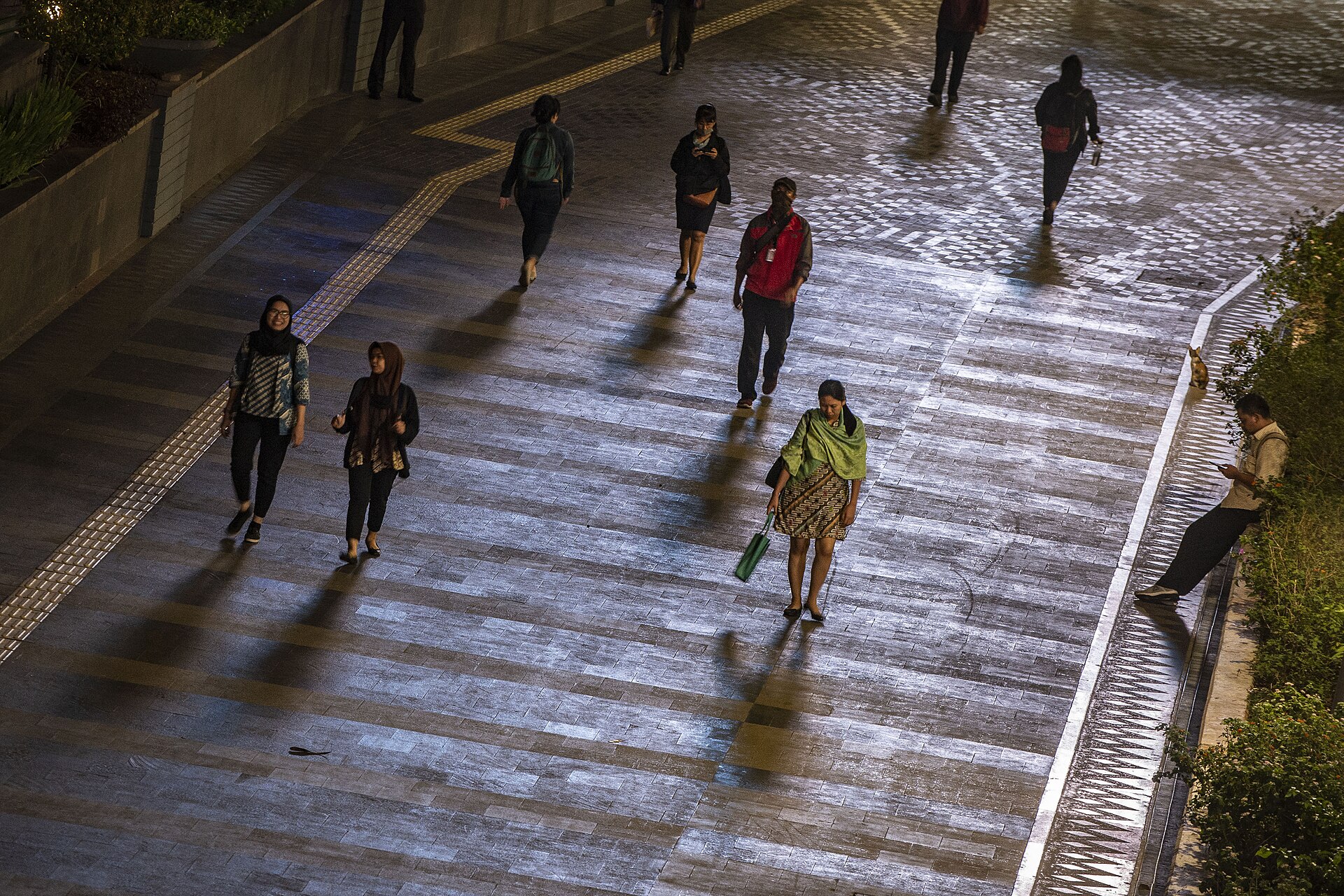 Office workers walking along a wide, level pedestrian pavement with yellow tactile paving and planted borders, photographed from above at night